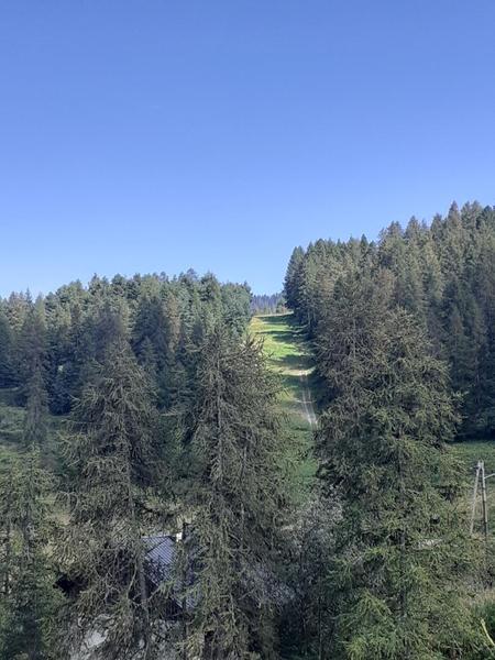 Gîte Les Chamois-Vue depuis le gîte-Roubion-Gîtes de France des Alpes-Maritimes