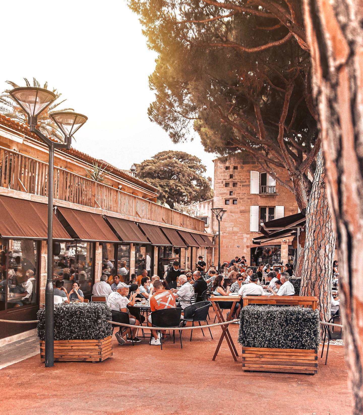 PIAZZA 2753342 Lot De 6 Sacs à Pâtisserie Professionnels En