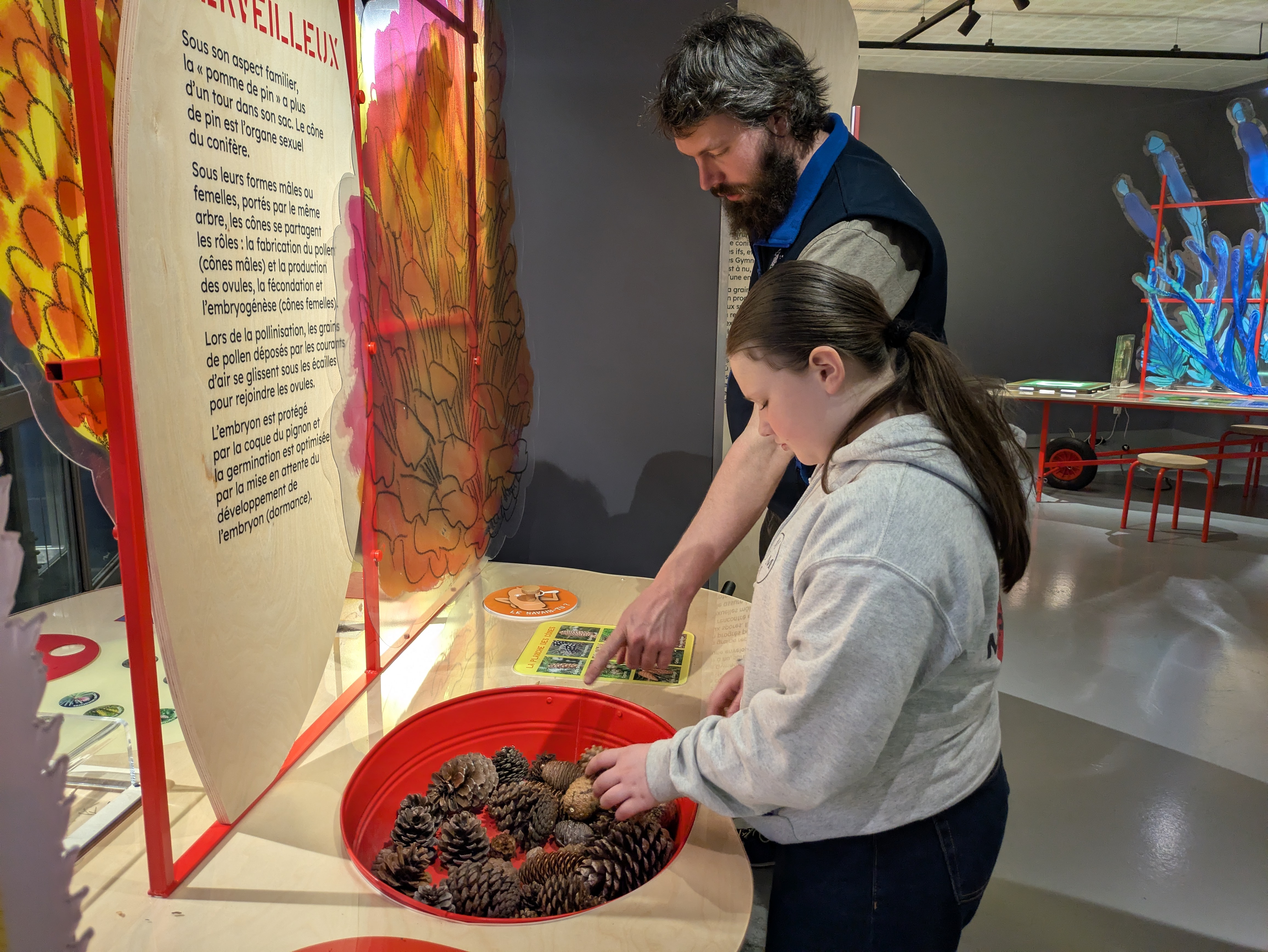 Exposition temporaire : Graines, comment naissent les plantes ?_Le Cheylard
