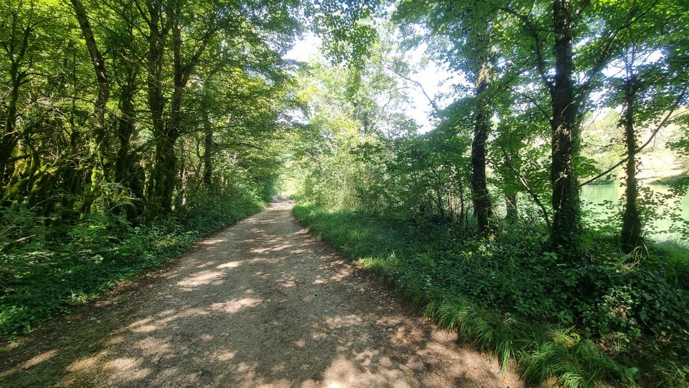 Gorges de l'Ain à VTT