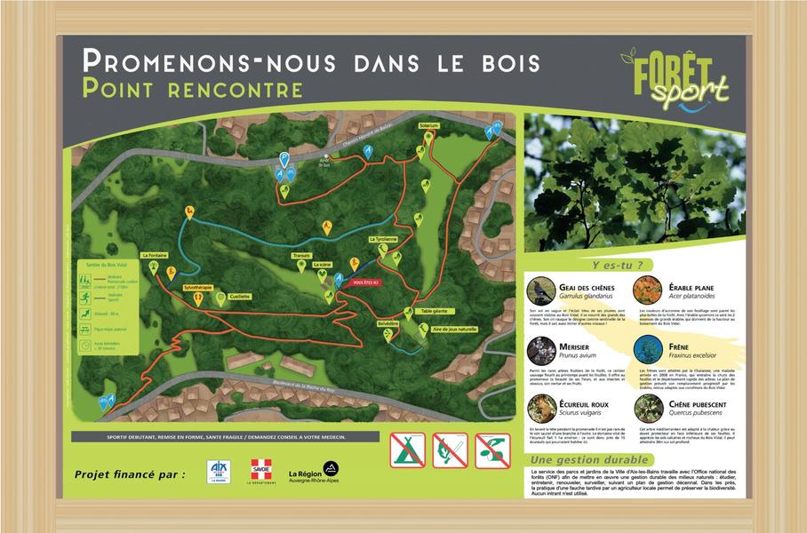 Bois vidal parcours 2