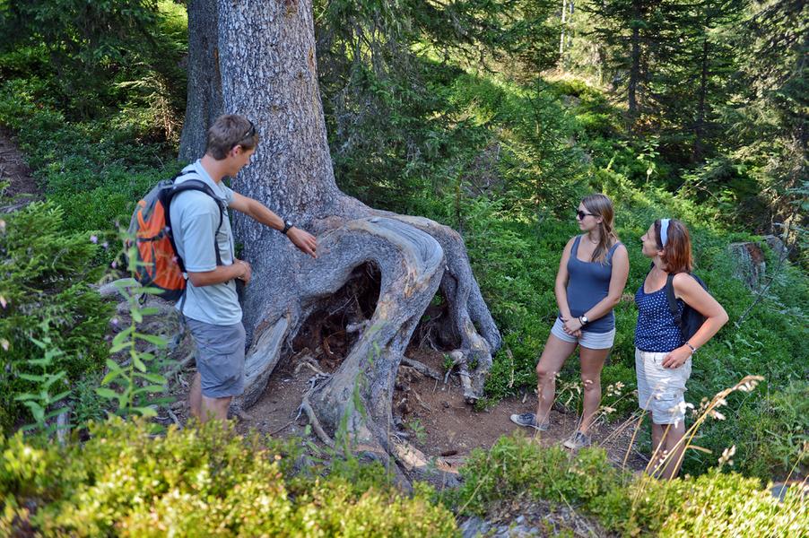 e-Sentier des Arpelières