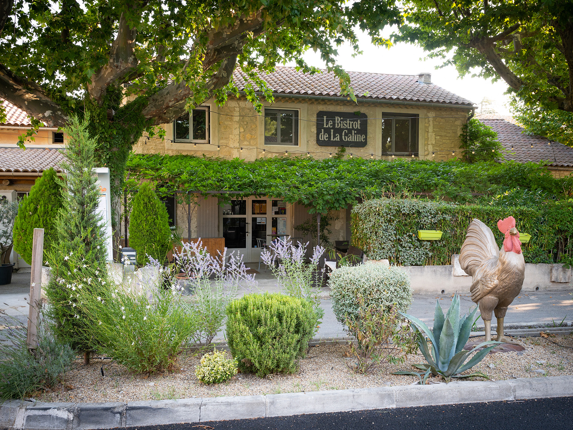 Bistrot de la Galine, Saint-Rémy-de-Provence - photo 12