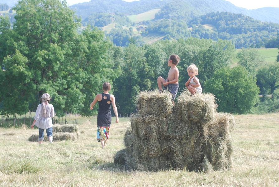 Le Château partagé_Dullin