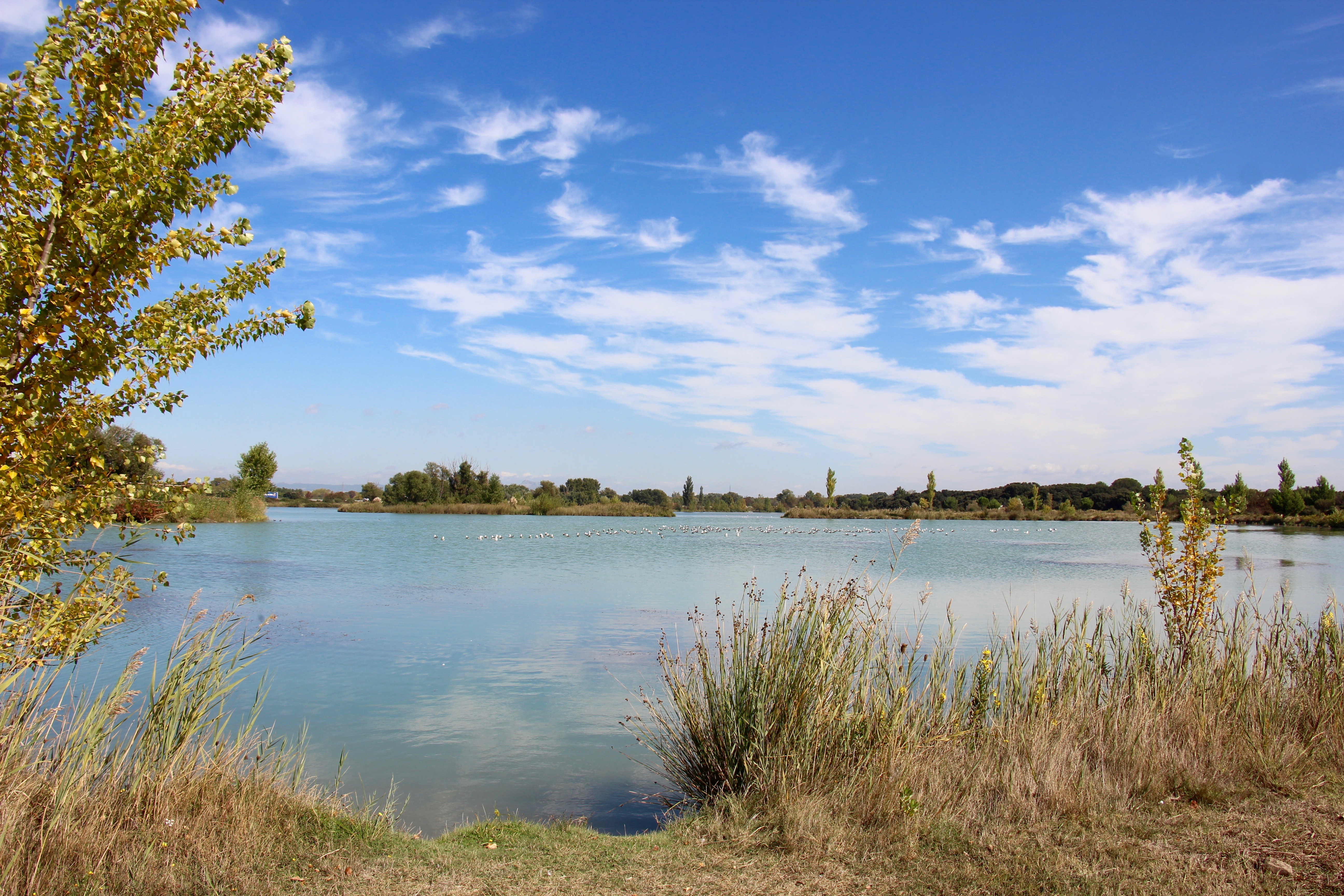 La Crau, Entre quiétude et sites de caractères — photo 2