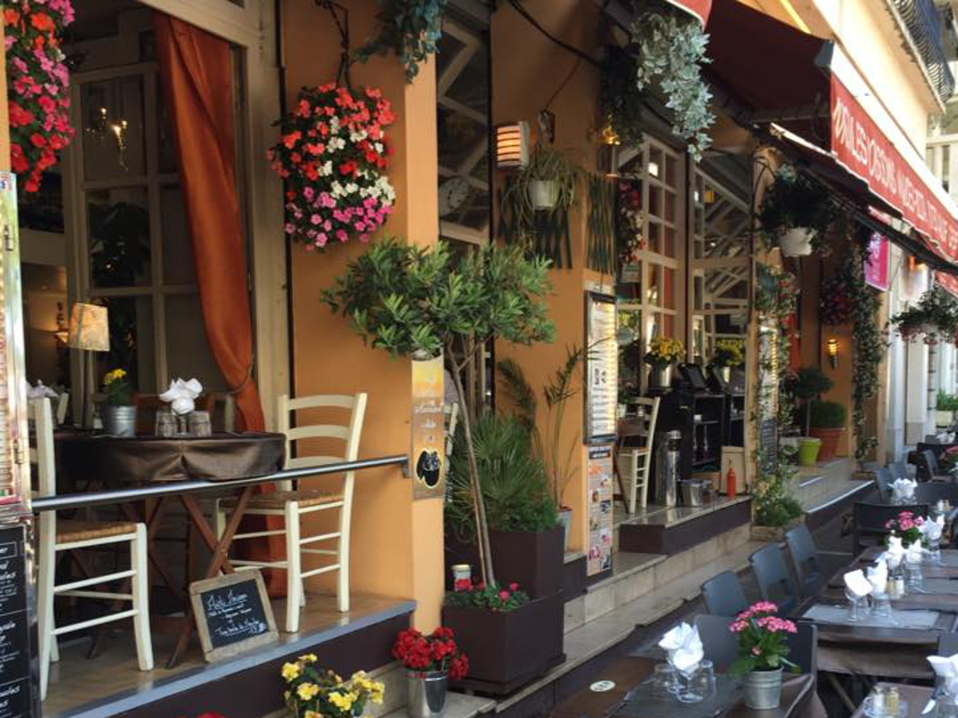 Le Perroquet - photo 5