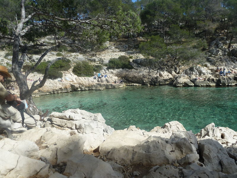 Calanque Port Pin