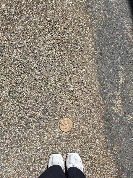 Carronnière de Mollardoury_Saint-Trivier-de-Courtes