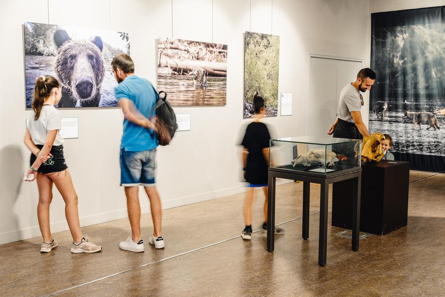 expo Belles bêtes