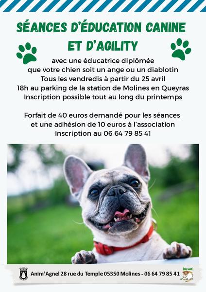 Séances d'éducation canine et d'agility_Molines-en-Queyras