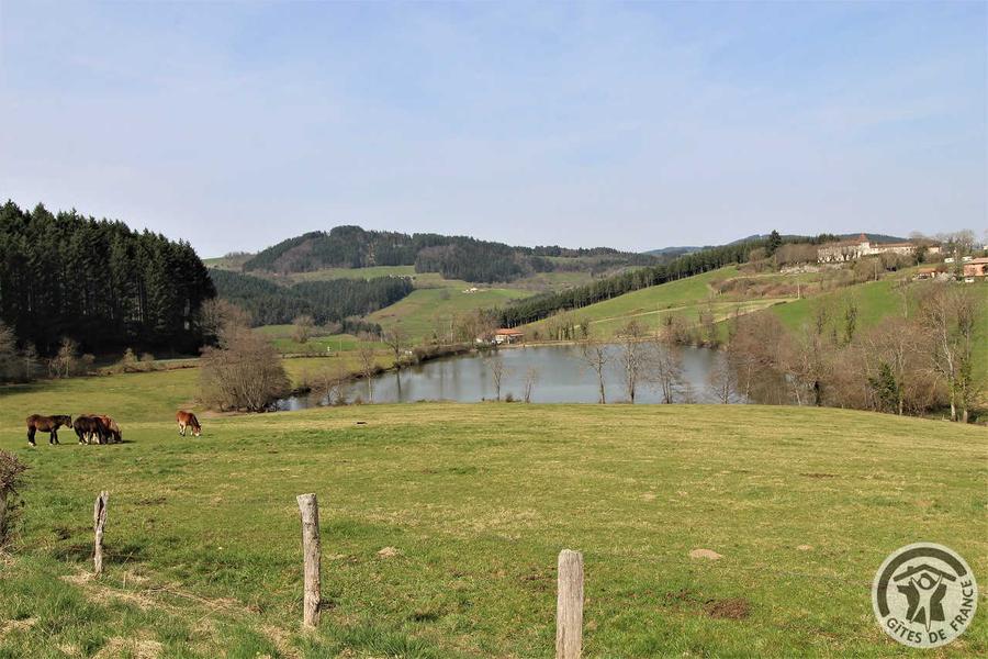 \'Gîte de Basse Comté\' (avec piscine chauffée) à Cublize (Rhône - Beaujolais Vert - Lac des Sapins) : l\'étang de Magny juste à côté du gîte.