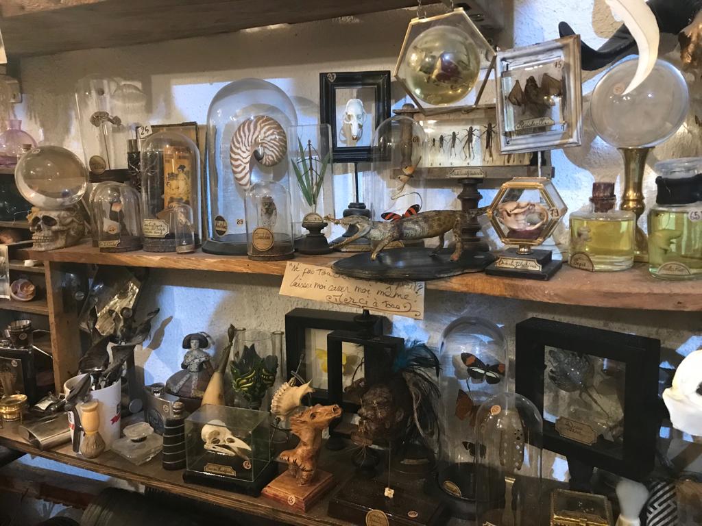 La taverne de Platon — photo 3