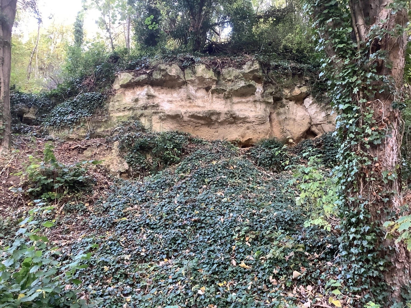 Balade géologique à Chars : en longeant la Viosne