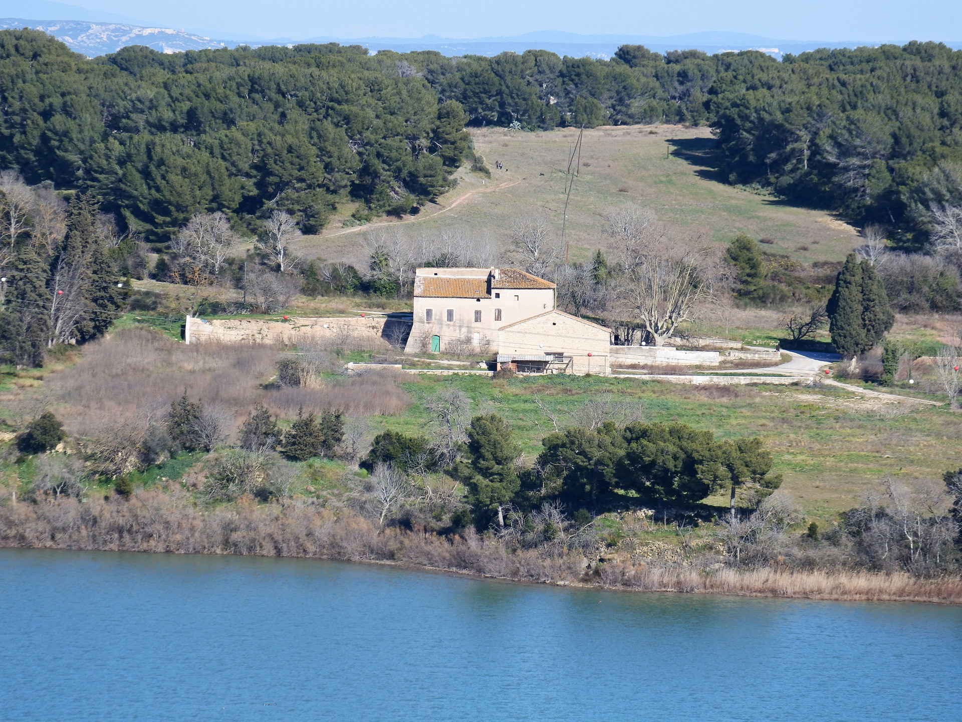 Forêt de Castillon - Saint-Blaise