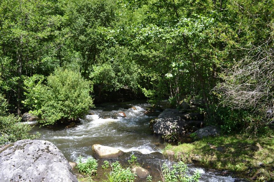 La rivière en bas des gîtes