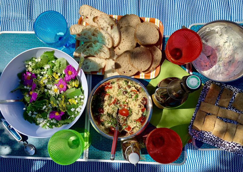 REPAS SAUVAGE DANS LA NATURE