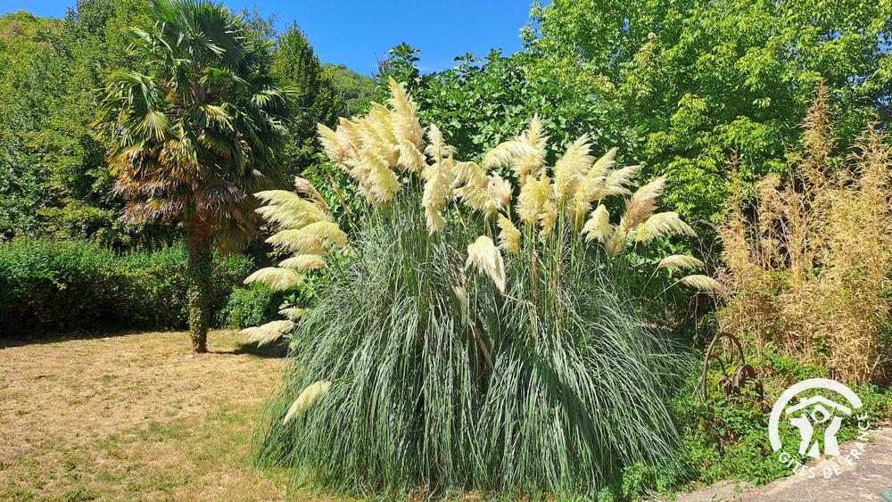 La presqu'île d'Ambialet
