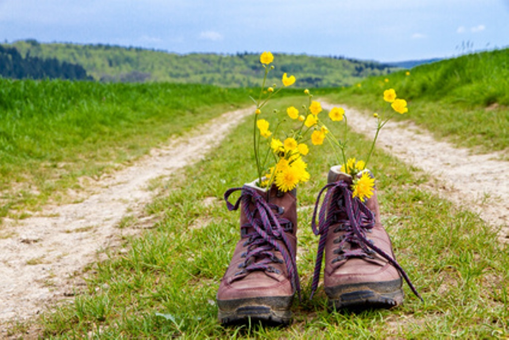 Marche et course à pied du brin d'aillet