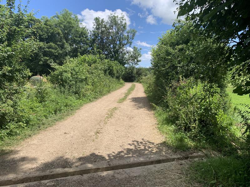 Randonnée - La ronde des étangs Marron