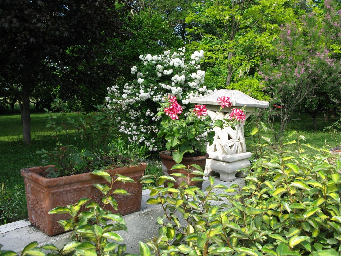 Villa Mélodie, Mollégès - photo 29