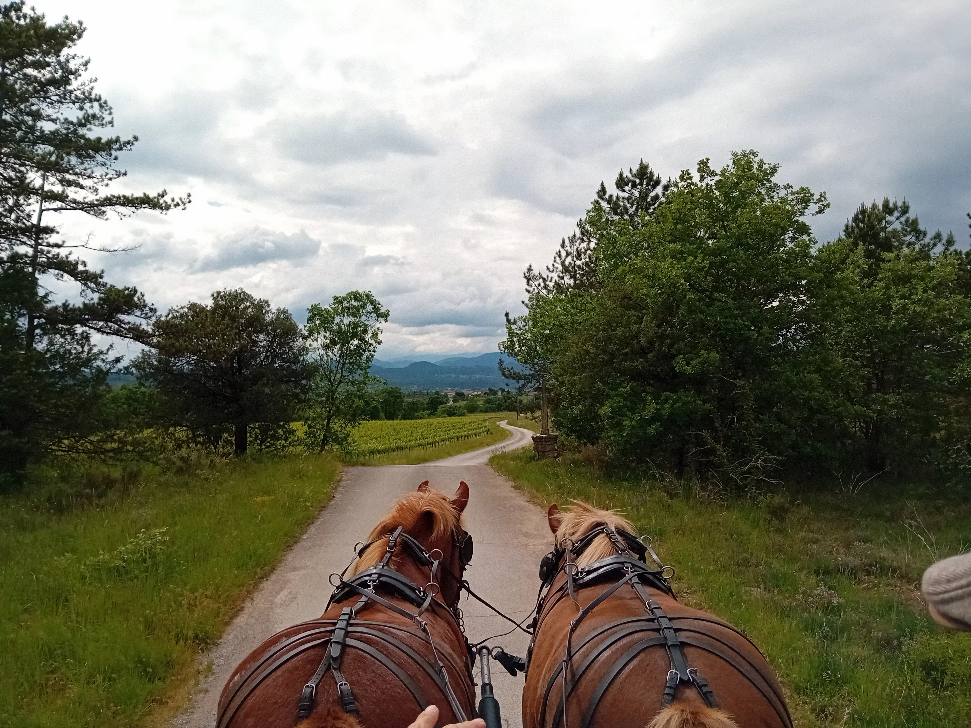 Sur le parcours