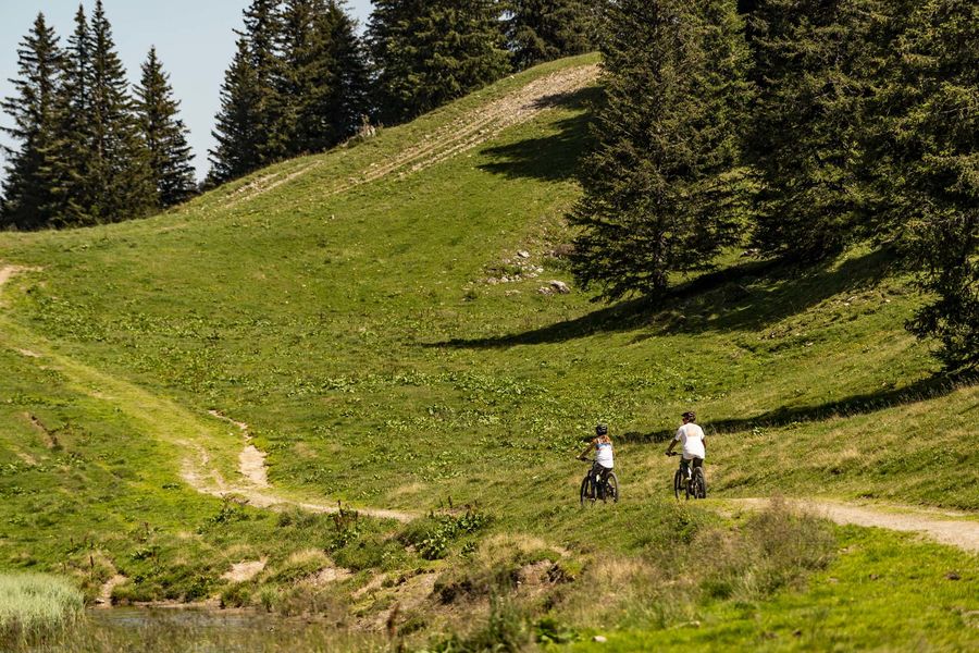 Sortie VTT enduro &  E-bike en Valais (Suisse)