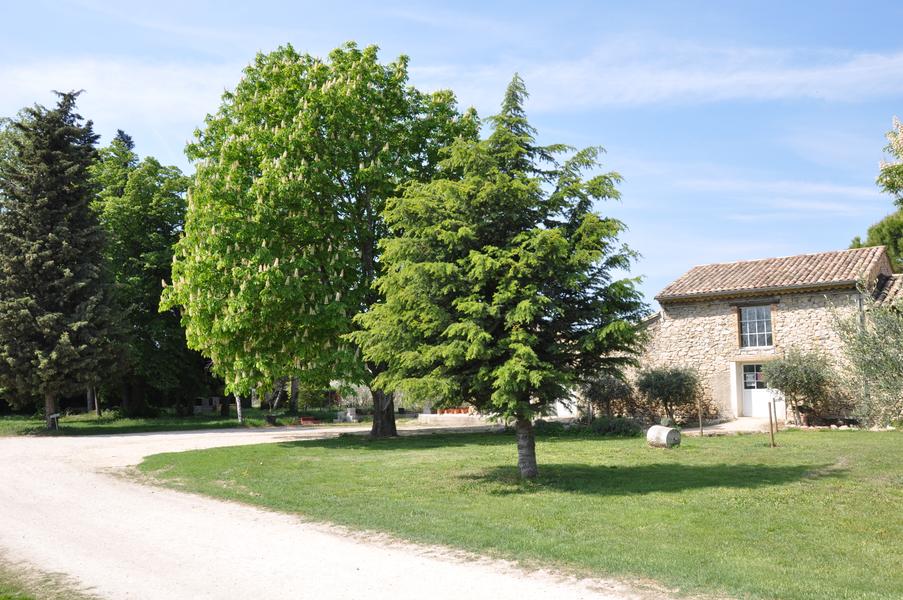 Visit to the Lou Mouli d'Oli Olive Oil Mill