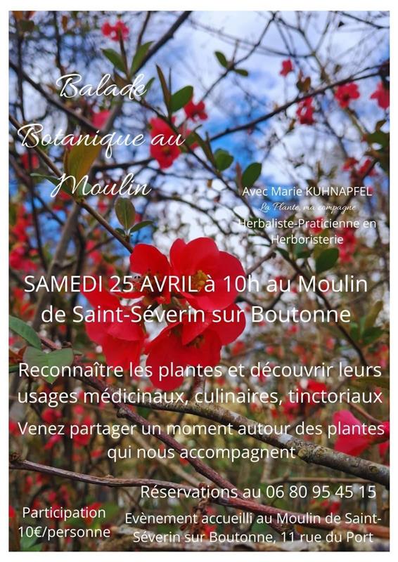 Balade botanique au moulin