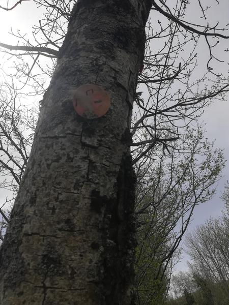 Le puits des Rioux à cheval_Susville