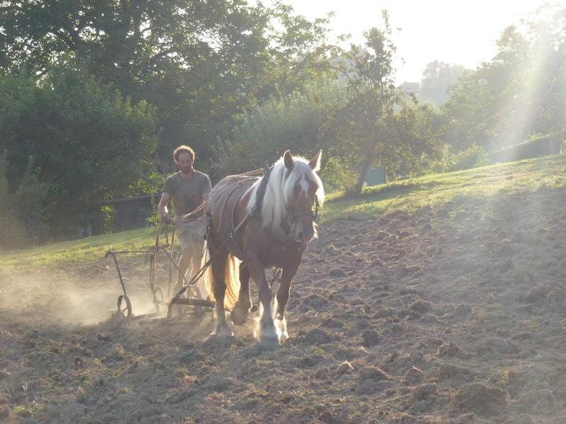 Le Château partagé_Dullin