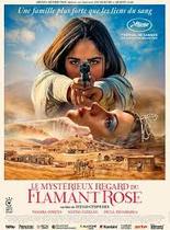 Affiche du film Le Mystérieux regard du flamand rose_Lans-en-Vercors