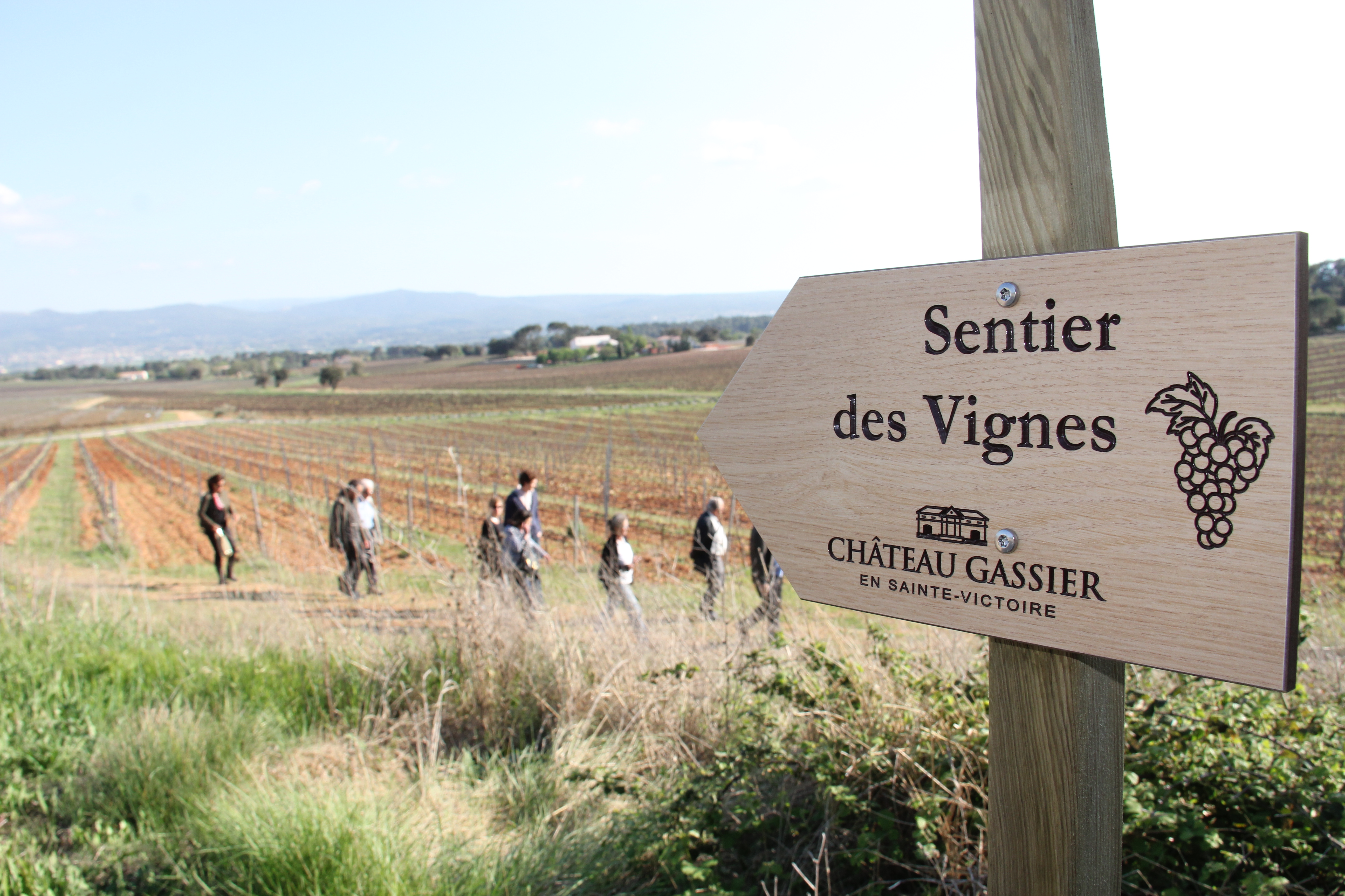 "Sentier des vignes" : Découverte de la biodiversité sur le domaine viticole Château Gassier
