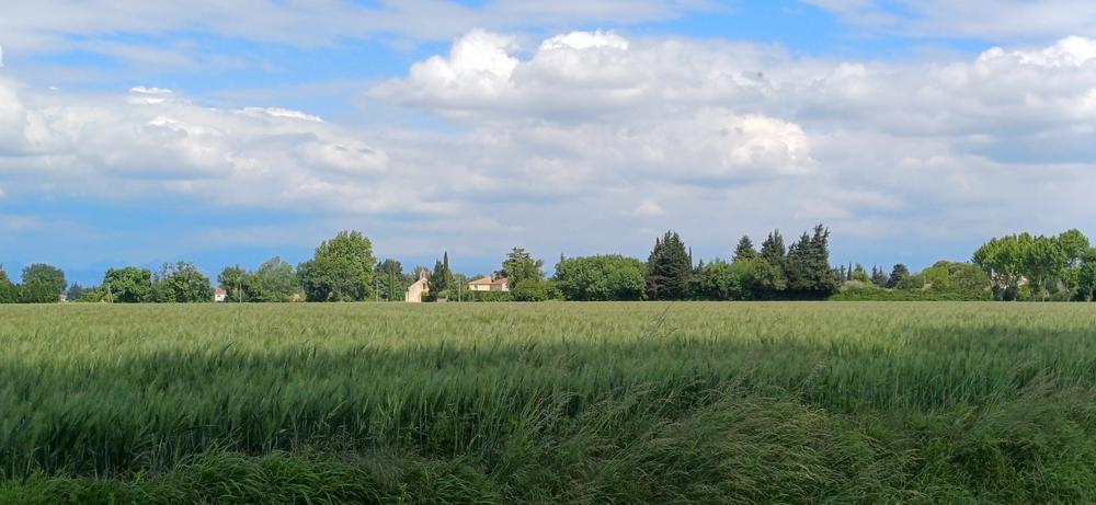 7 -  D'Orange à Caderousse_Orange