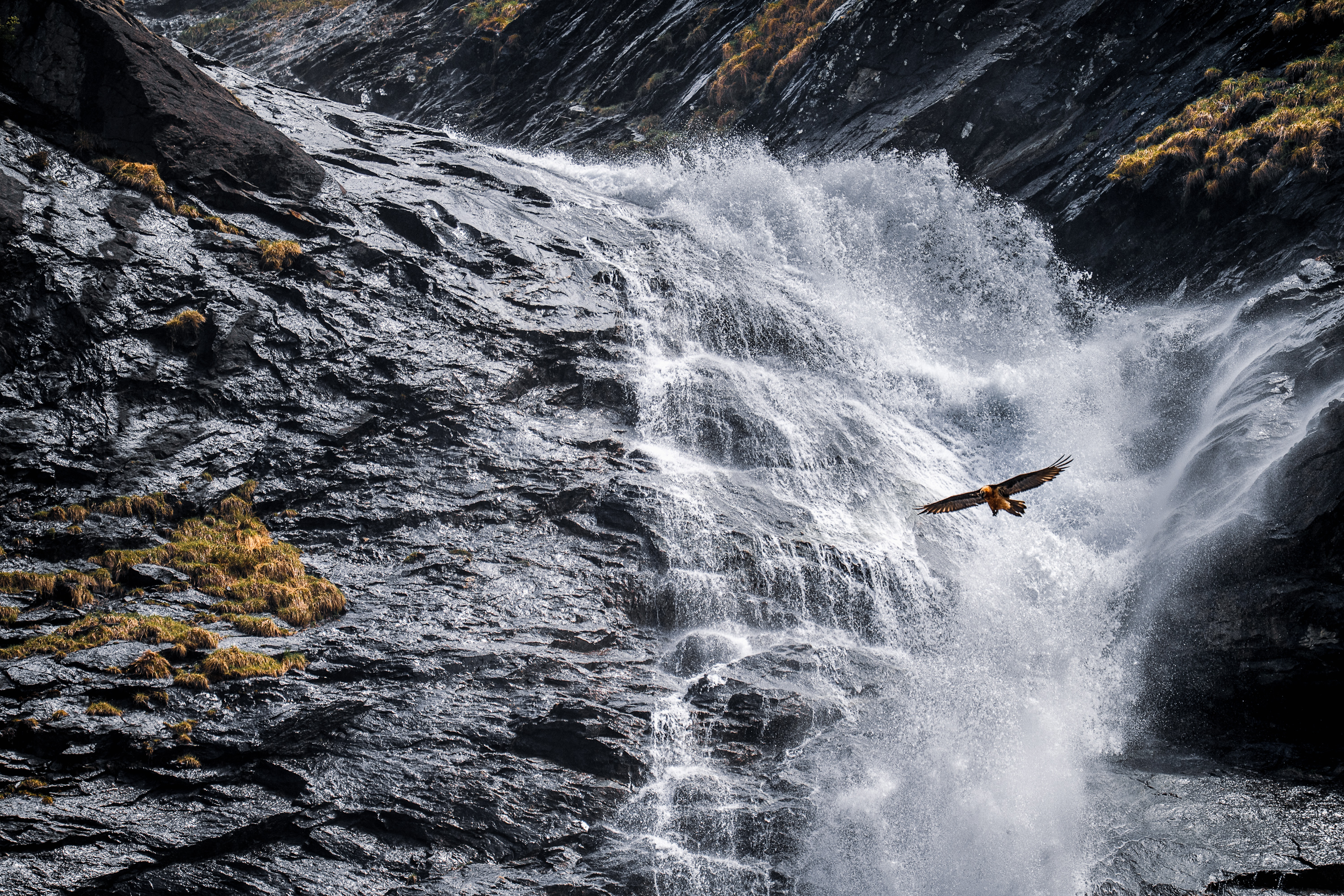 Concours photo à Champagny-en-Vanoise