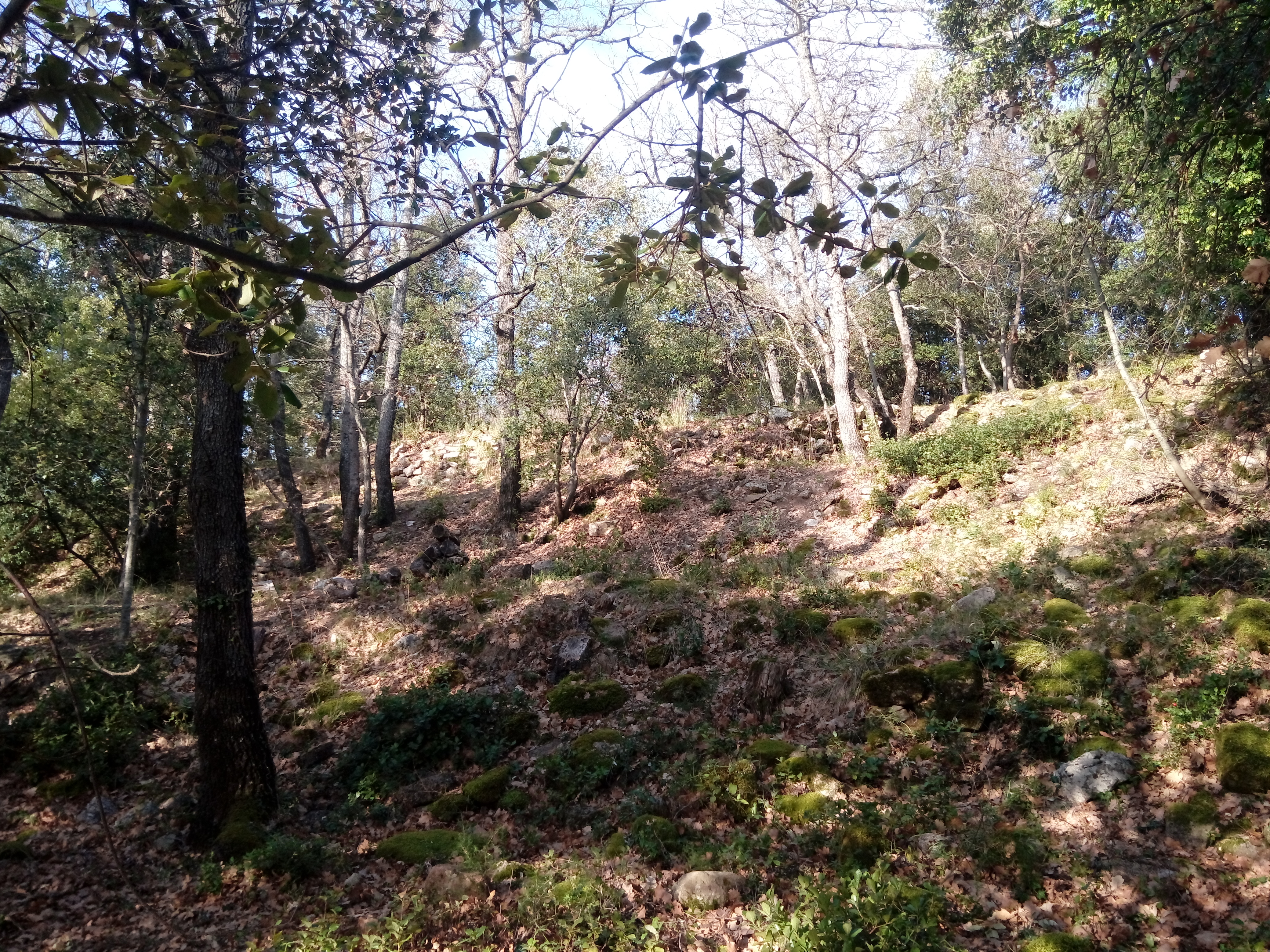 Randonnée "Le Castrum Saint-Michel"