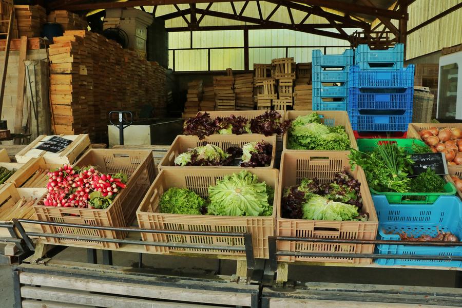 La Tour des Saveurs_Brangues