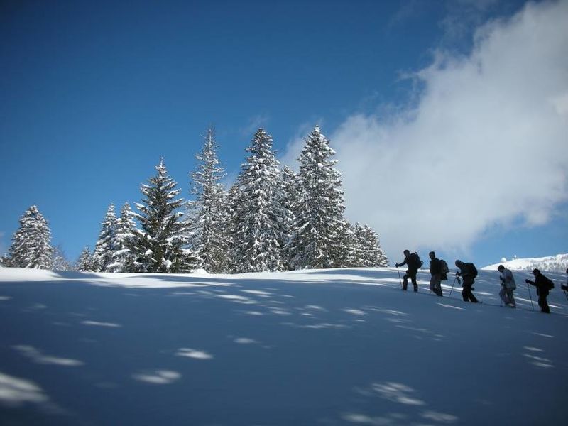 Raquettes avec sylvain Poncet