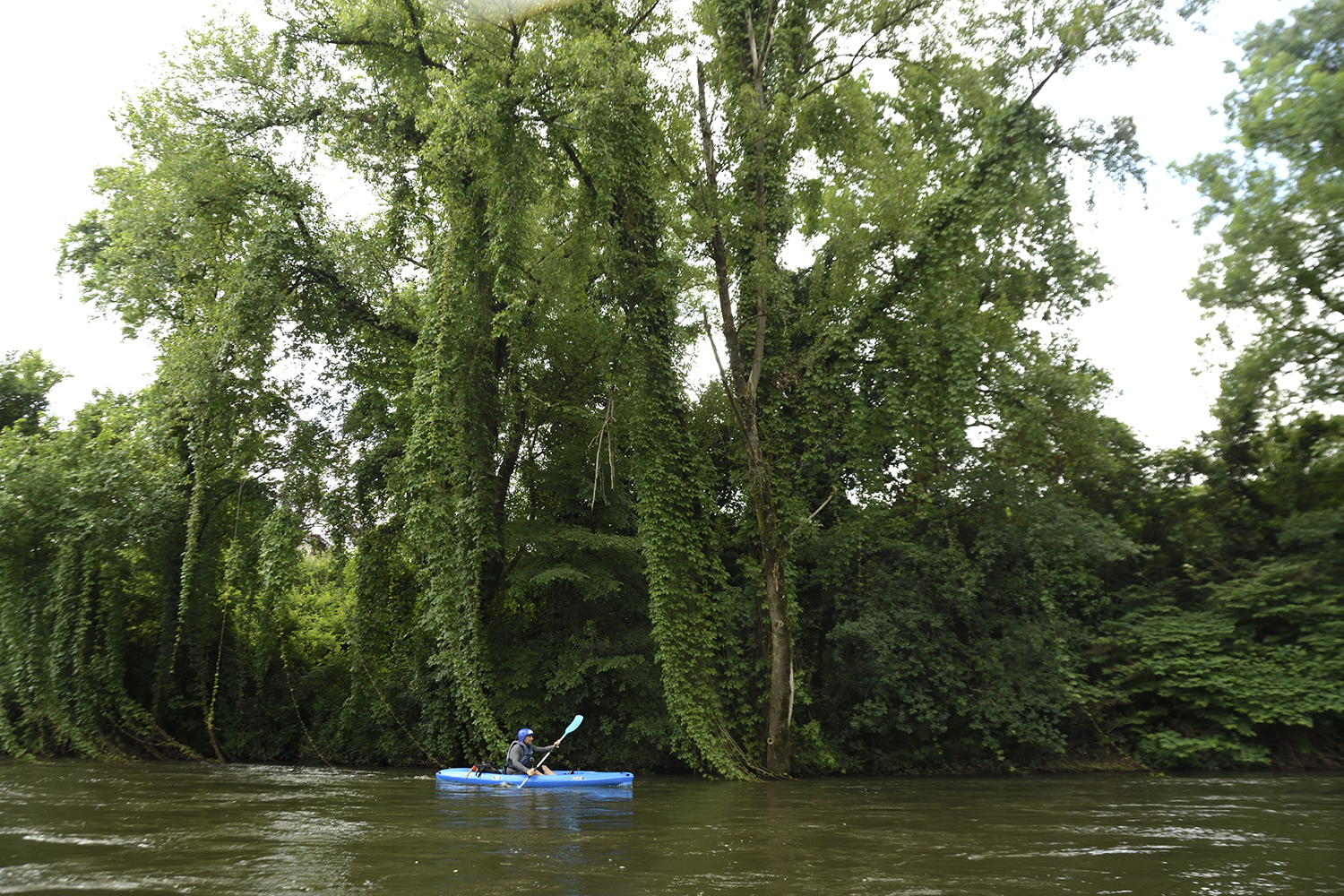 canoe-kayak-castres-tarn-parcours-decouverte-eaurizon-23