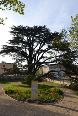Square François Blanc — photo 2