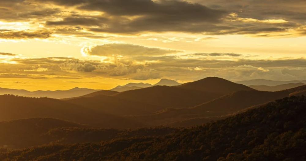La journée des Métiers d'Arts_Bormes-les-Mimosas