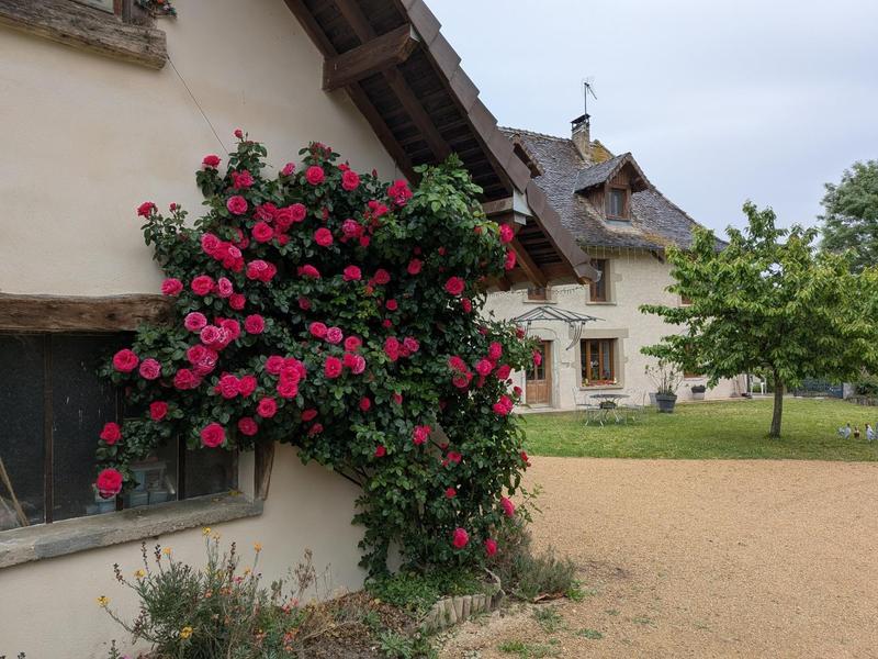 Vue depuis l'extérieur de la propriété, en pleine floraison des rosiers. Vue depuis l'extérieur de la propriété, en pleine floraison des rosiers.