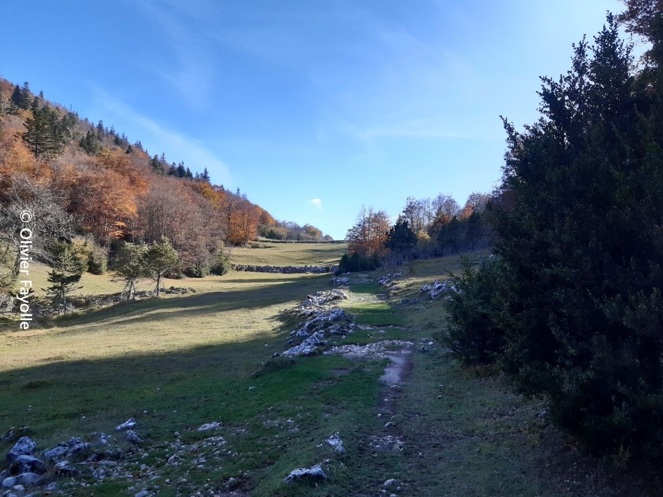 La Trompe