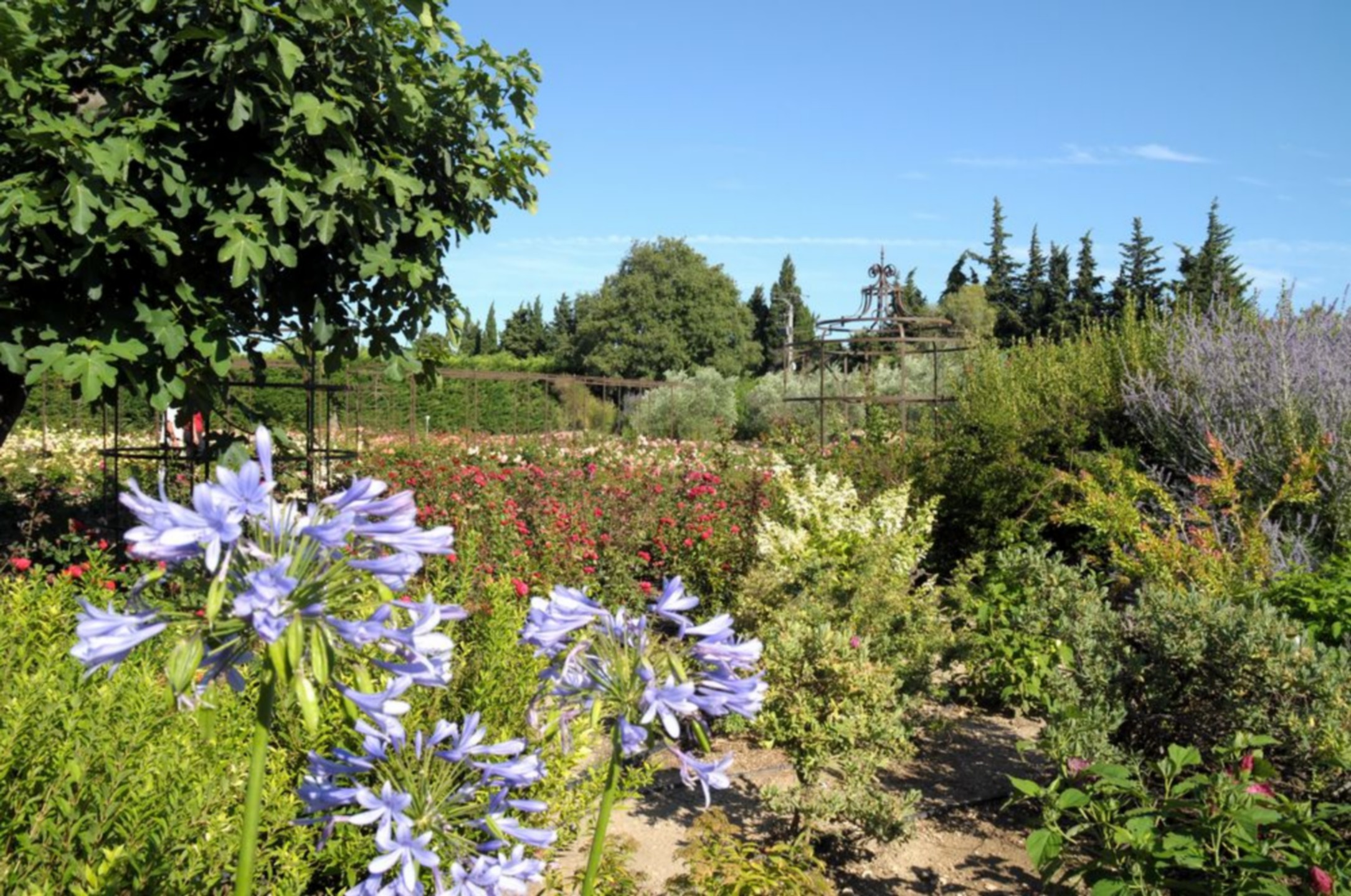 Le Jardin d'Alcinoos  France Provence-Alpes-Côte d'Azur Bouches-du-Rhône Saint-Rémy-de-Provence 13210