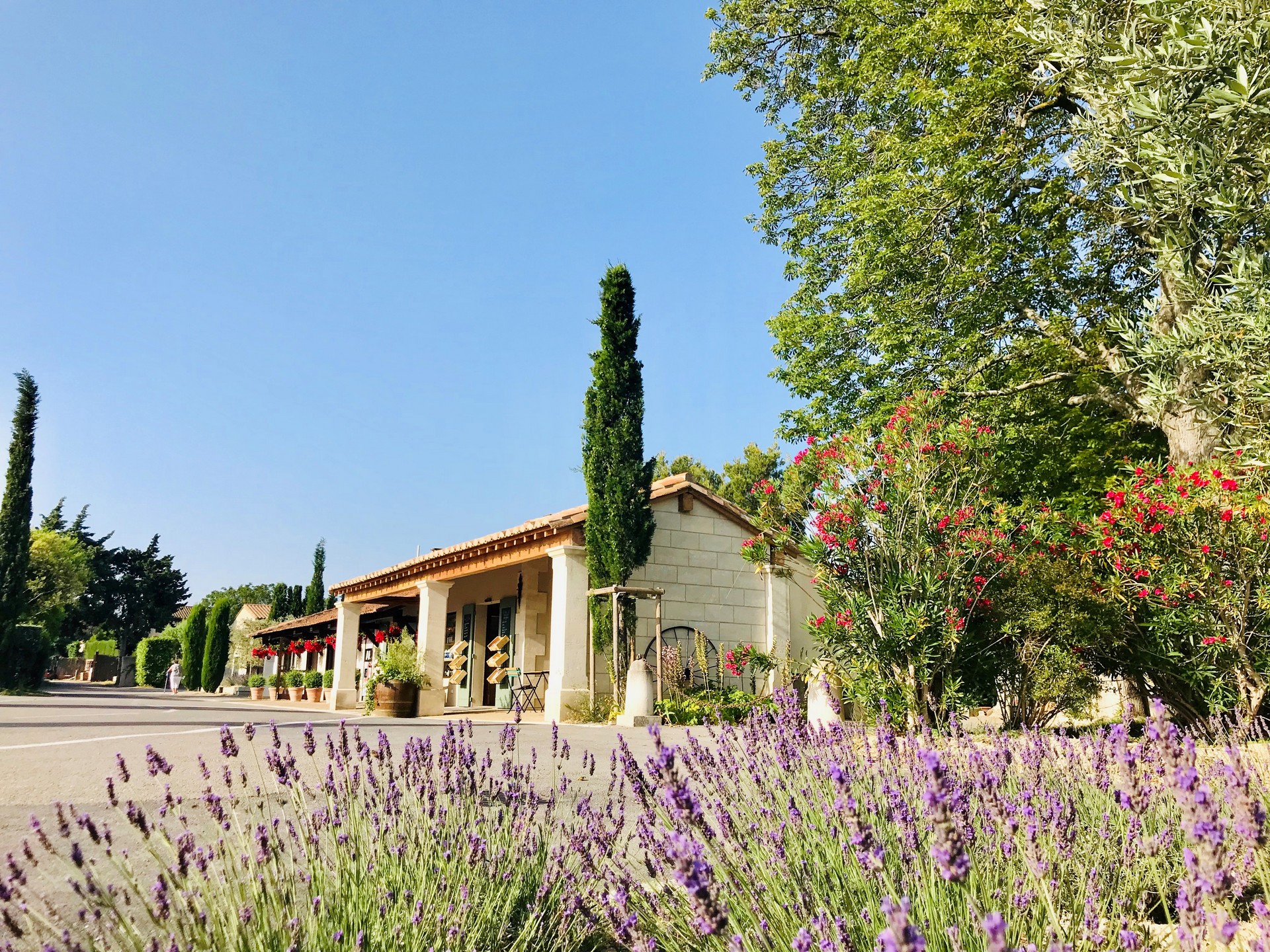 Camping Monplaisir — photo 2