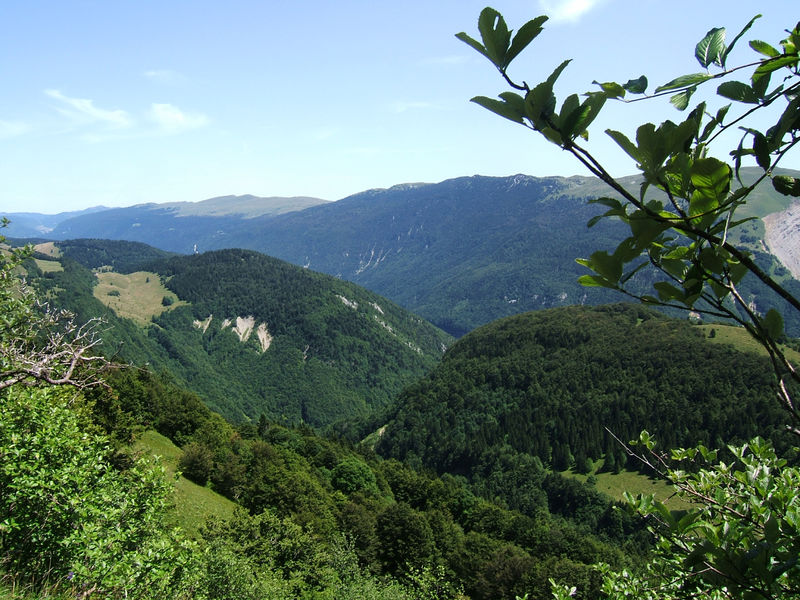 Vue du Crêt de Chalam