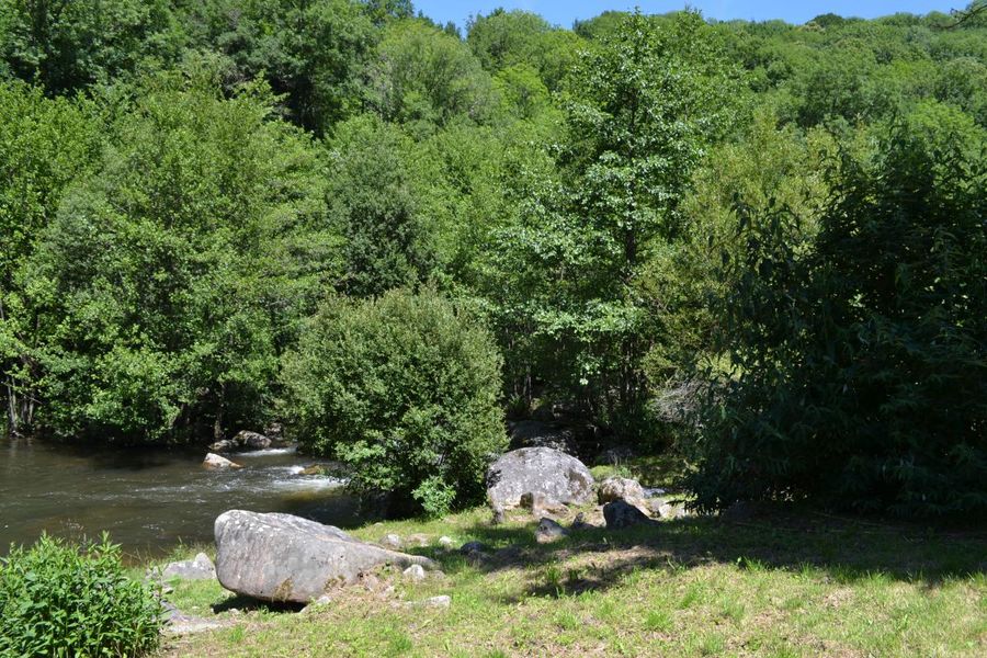 La rivière en bas des gîtes