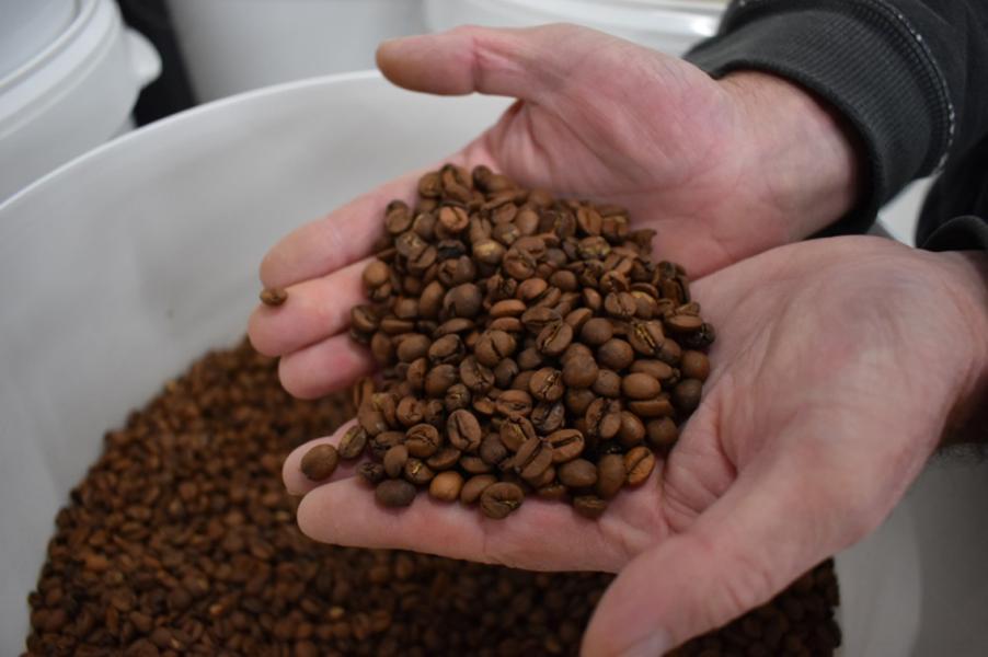 Découverte du café de spécialité et initiation à la torréfaction