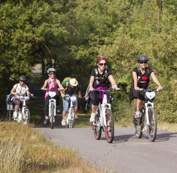 VVV Vallée de l'Isère 12