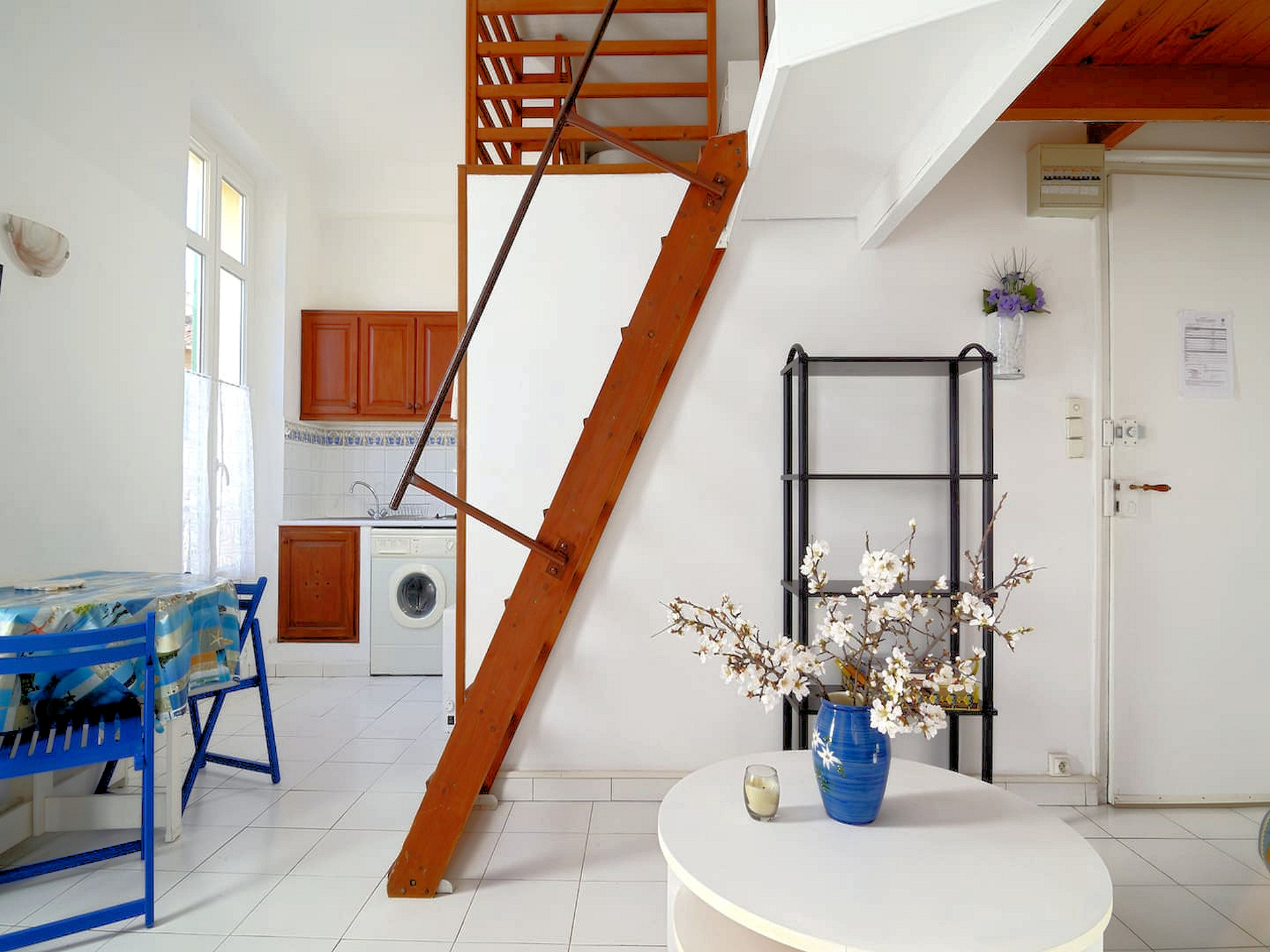 Anemone, Cassis - photo 4