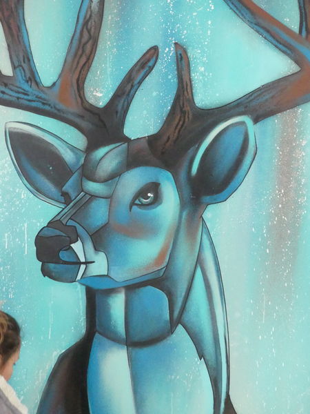 Parcours Street art Moûtiers